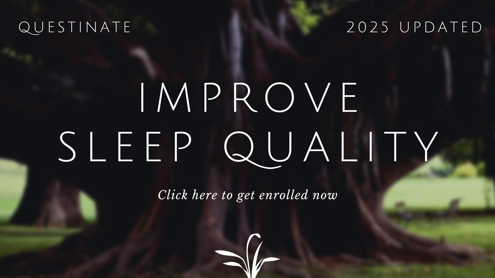 Improve sleep quality naturally, physical health, mental well-being