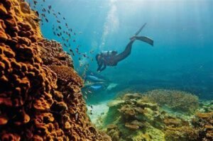 The Great Barrier Reef, Australia Once in a Lifetime destinations